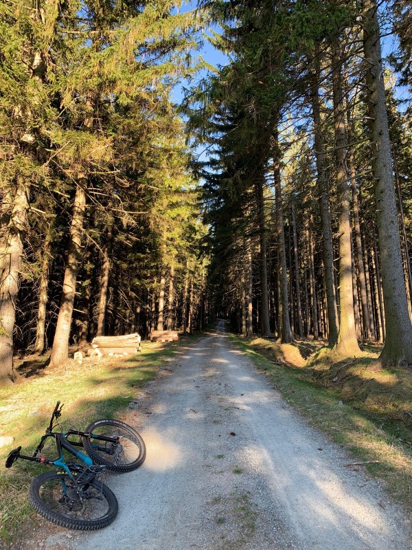 Atrakcje w okolicy Stronia Śląskiego - szlak rowerowy w pobliżu domku Monte Black