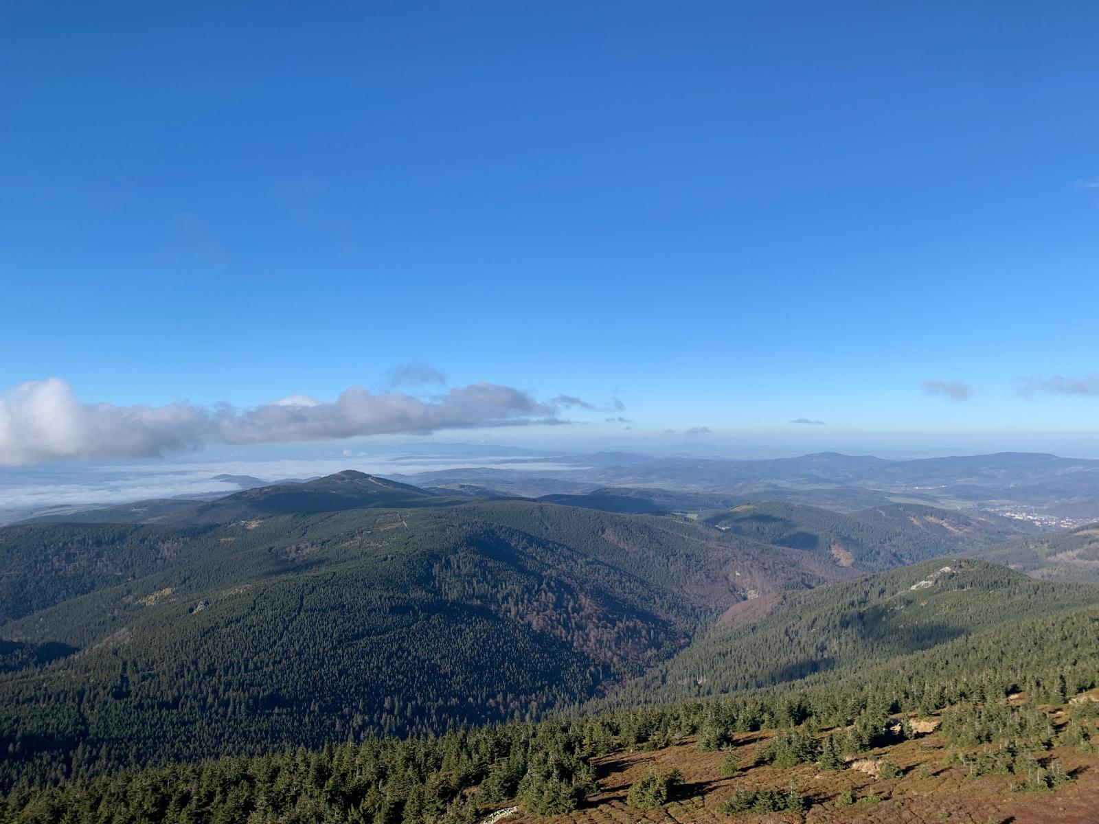 Śnieżnik - widok ze szczytu